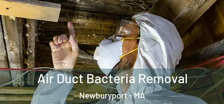  Air Duct Bacteria Removal Newburyport - MA