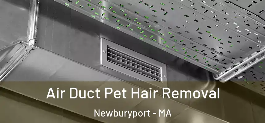  Air Duct Pet Hair Removal Newburyport - MA