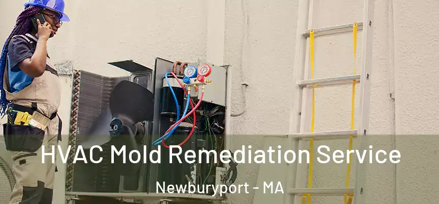  HVAC Mold Remediation Service Newburyport - MA