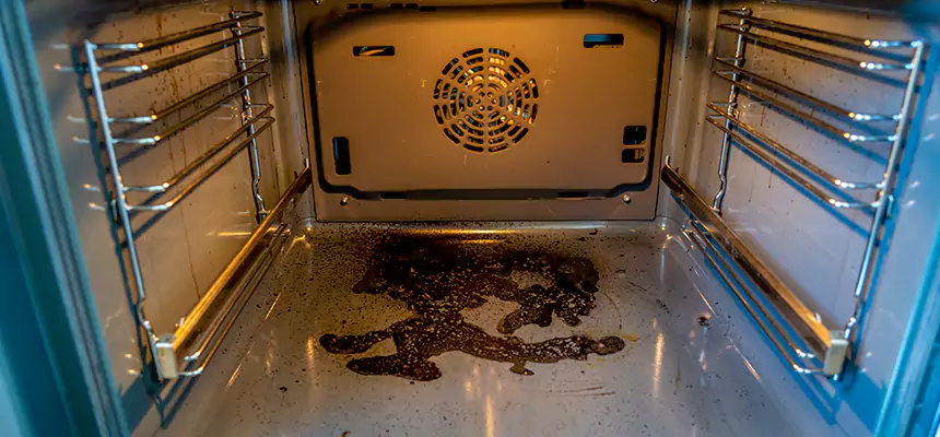 Our Dryer Vent Mold Cleaning Services in Newburyport, MA