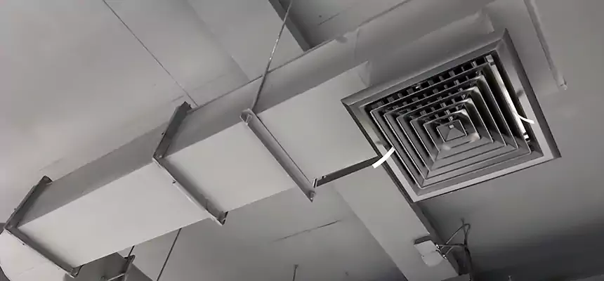 Our Pest Removal From Ducts Services in Newburyport, MA