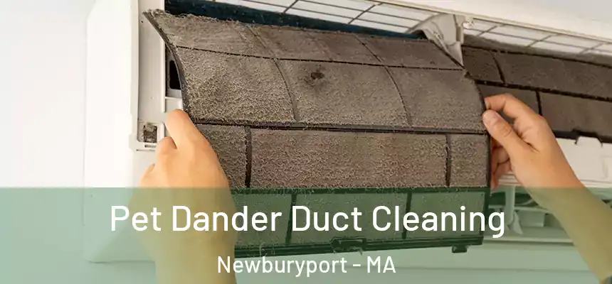  Pet Dander Duct Cleaning Newburyport - MA