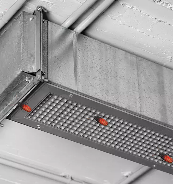 About Air Duct Cockroach Removal in Newburyport, MA