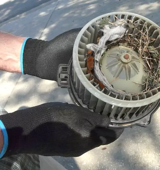 About Air Duct Rat Removal in Newburyport, MA