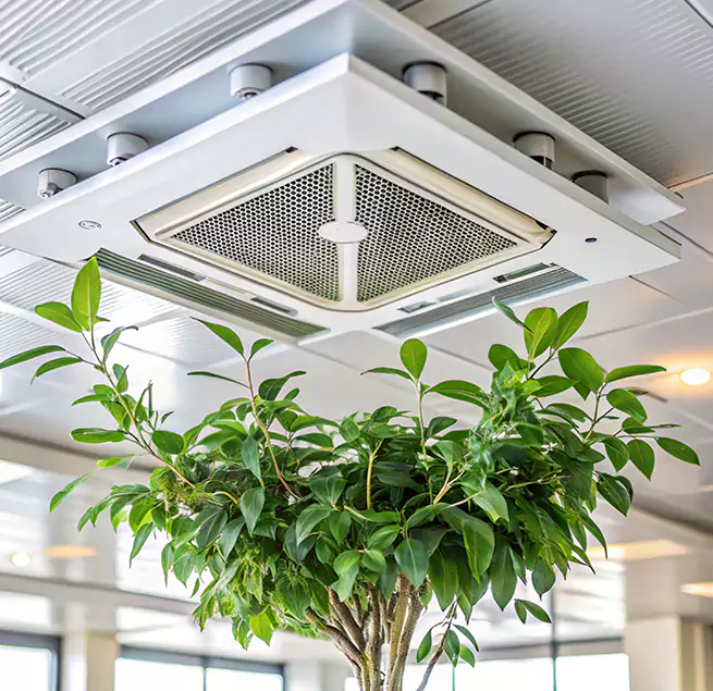 Why Homeowners & Businesses Trust Us in Newburyport, MA?