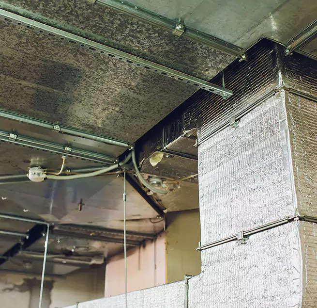 Why Homeowners & Businesses Trust Us in Newburyport, MA?